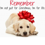 DOG FAN GROUP! <3