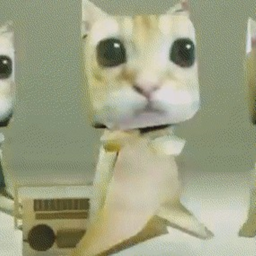 purr gato ry