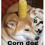 The Alliance Of The Doggo Lord