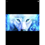 Blue Wolfpack2391