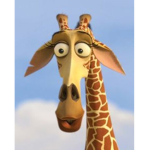 three heart giraffes