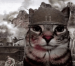 ᅠ Brotherhood Of Steel ᅠᅠ