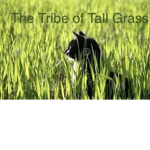 the Tribe of Tall Grass