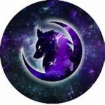 the_galaxy_wolfZZZ