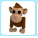 Giveaway pet