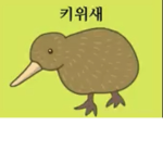 검정포 그룹
