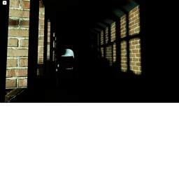 The Asylum (REBORN, EARLY ALPHA) icon