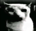 -C0FF33_GAM3S-