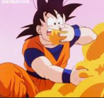 Goku Innovations