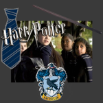 House of: Ravenclaw