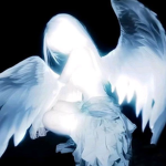 [ANGELS] | fallen angels
