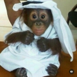Voided Dev's