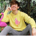Albert army flamingo fans