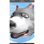 The husky”s