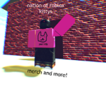 nation of roblox kittys