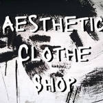 | Aesthetic Clothe Shop |