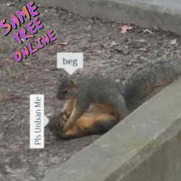 Same Tree Online