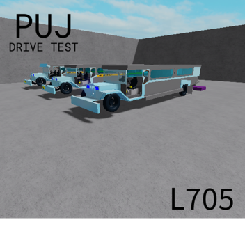 PUJ DRIVE TEST L705: City
