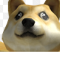 The Doge Plate (Doge)