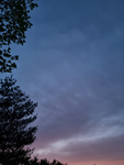 Skybox_Rao