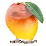 mangomango67