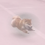 -*Doggy’s Airplane*-