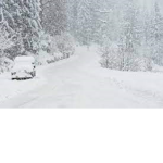 blizzards group