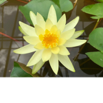 Michy's group