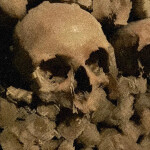 Catacombs Exploration