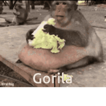 Average 2012 roblox experience 