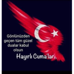 BJK5 0
