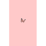 AestheticBread