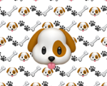 :[dog group]: