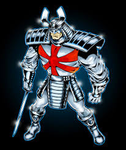Silver Samurai Karate