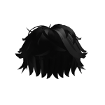 Black Textured Fluffy Hair