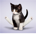 Yoga 4 Life
