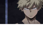 Bakugo Fans