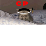 Ain’t gonnacryyy family