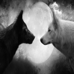 Night _WolveZ