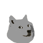 The wolf doges
