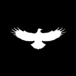 Team Safety Intelligence Agency