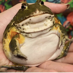 Group Thumbnail