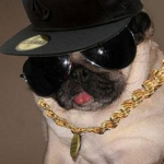 The Drip Dog Clan