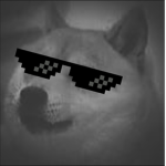 dogee._.official