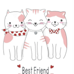 Friendship Flow