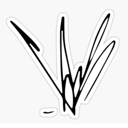Group Store Clothing Brand