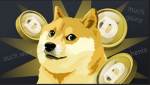 DOGE STUDİOS