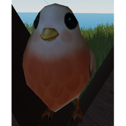 Seek a Bird