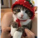 티쁜이덜