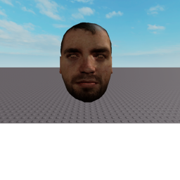 Roleplay but with this head!